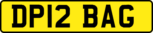 DP12BAG