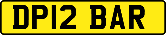 DP12BAR