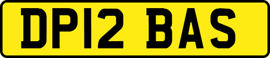 DP12BAS