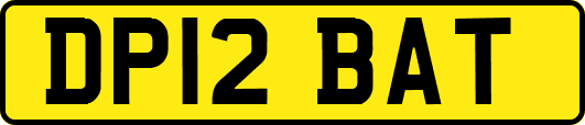DP12BAT