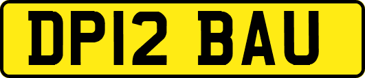 DP12BAU