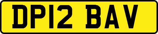 DP12BAV