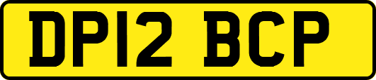 DP12BCP
