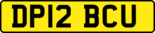 DP12BCU