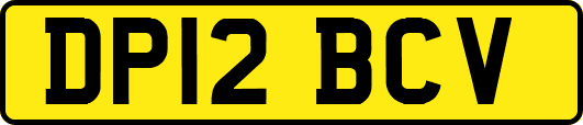 DP12BCV
