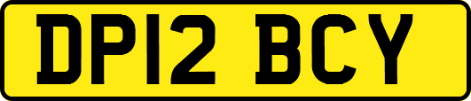 DP12BCY