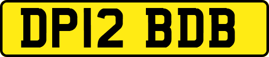 DP12BDB