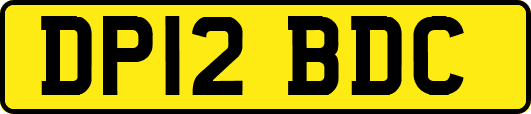DP12BDC