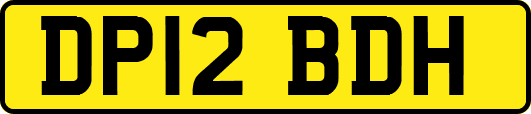 DP12BDH