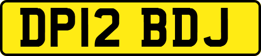 DP12BDJ