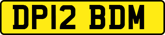 DP12BDM
