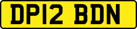 DP12BDN