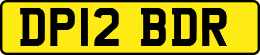 DP12BDR