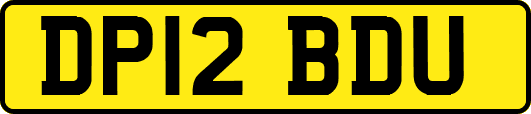 DP12BDU