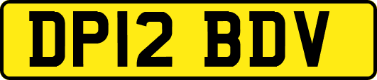 DP12BDV