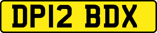 DP12BDX