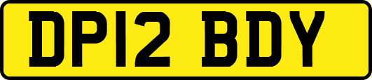 DP12BDY