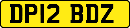 DP12BDZ
