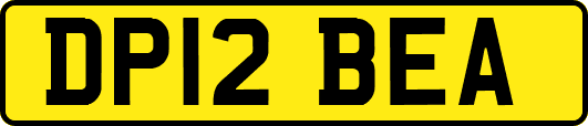 DP12BEA