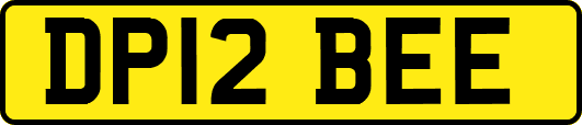 DP12BEE