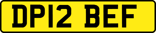 DP12BEF