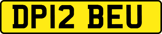 DP12BEU