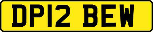 DP12BEW
