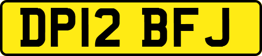 DP12BFJ