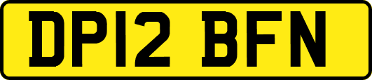 DP12BFN