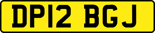 DP12BGJ