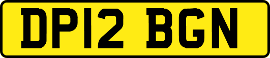 DP12BGN
