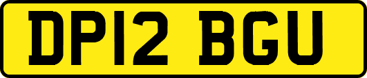 DP12BGU