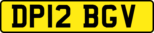 DP12BGV