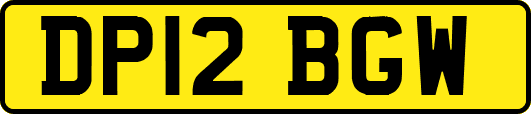 DP12BGW