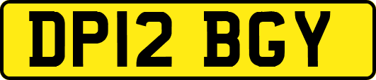 DP12BGY