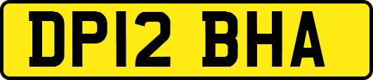 DP12BHA