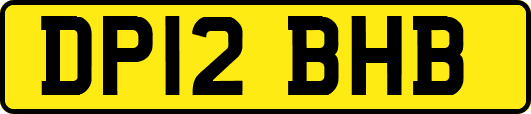 DP12BHB