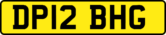 DP12BHG