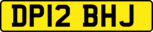 DP12BHJ