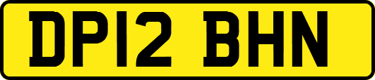DP12BHN