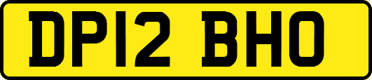 DP12BHO