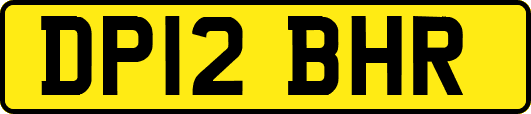 DP12BHR