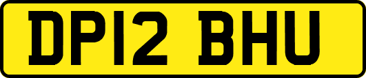 DP12BHU