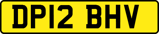 DP12BHV
