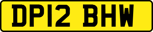 DP12BHW