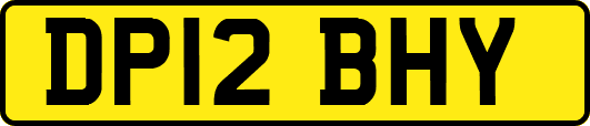 DP12BHY