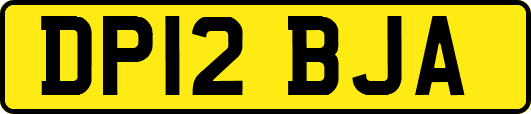 DP12BJA