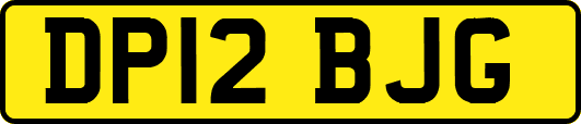 DP12BJG