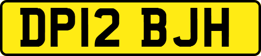 DP12BJH