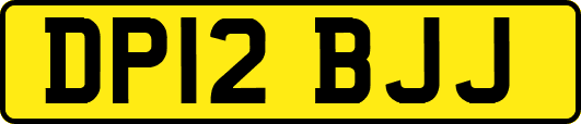 DP12BJJ